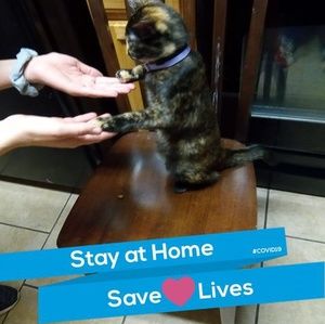 Meet your Posher, Brielle